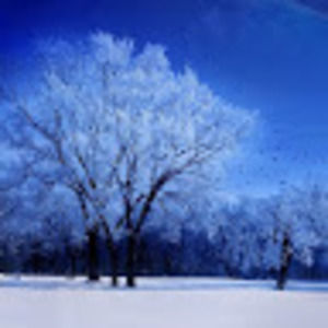 Meet your Posher, Chinnatip